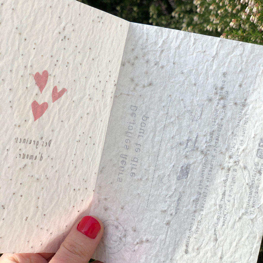 carte graines amour coeur st Valentin à planter coquelicot