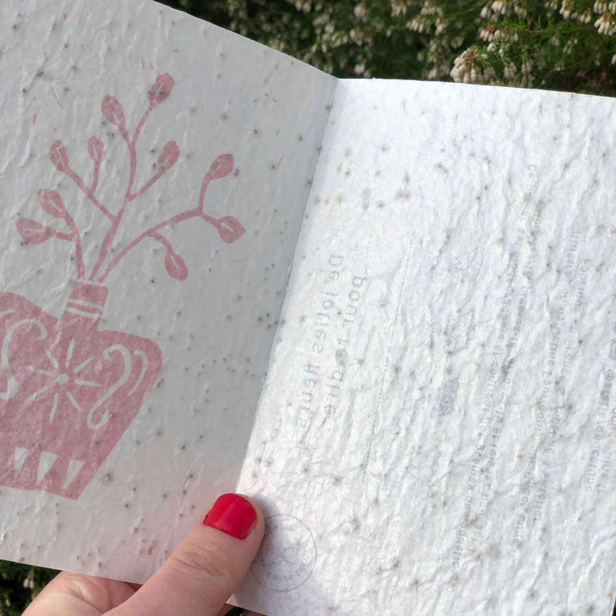 carte graines fleurs vase st Valentin à planter coquelicot